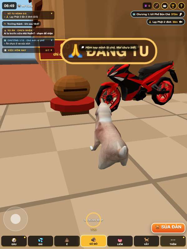 Chó gõ mõ trong đình